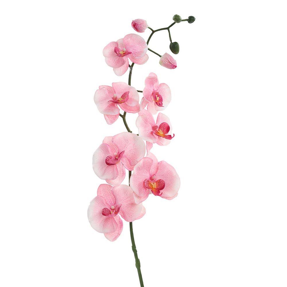Matte Phalaenopsis, Pink – 98 cms