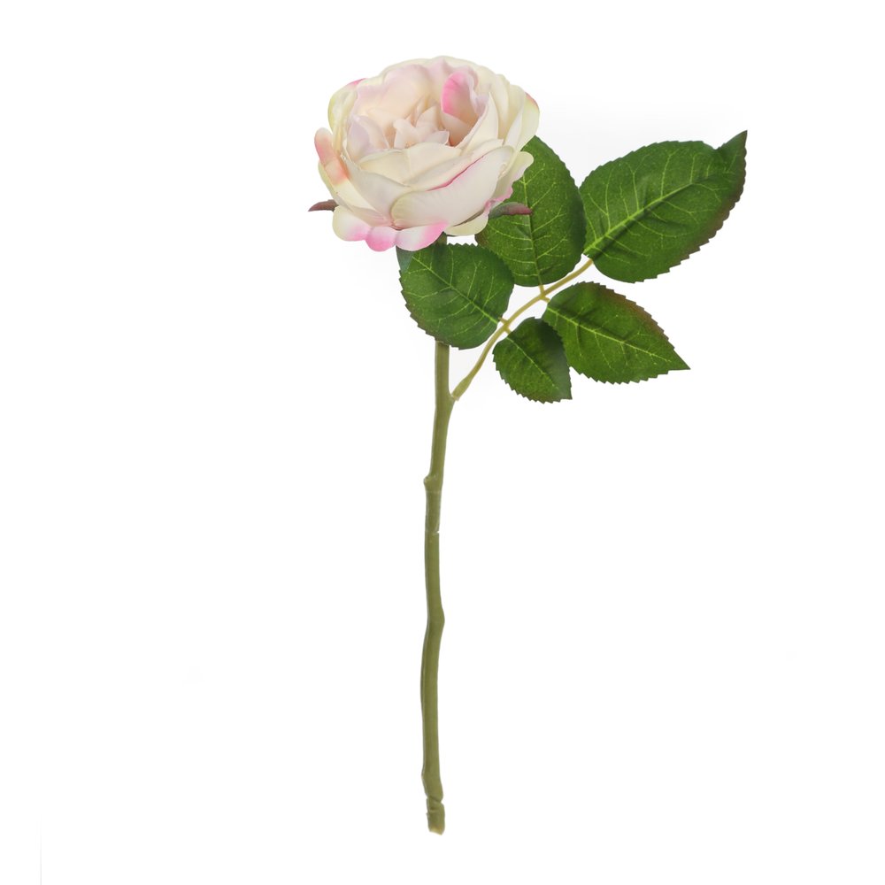 روز رومانس، جذع واحد، وردي وعاجي - 31 سم