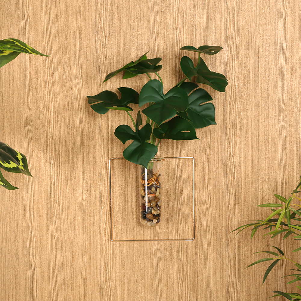 Monstera in Glass Bottle with Wall Frame, Green