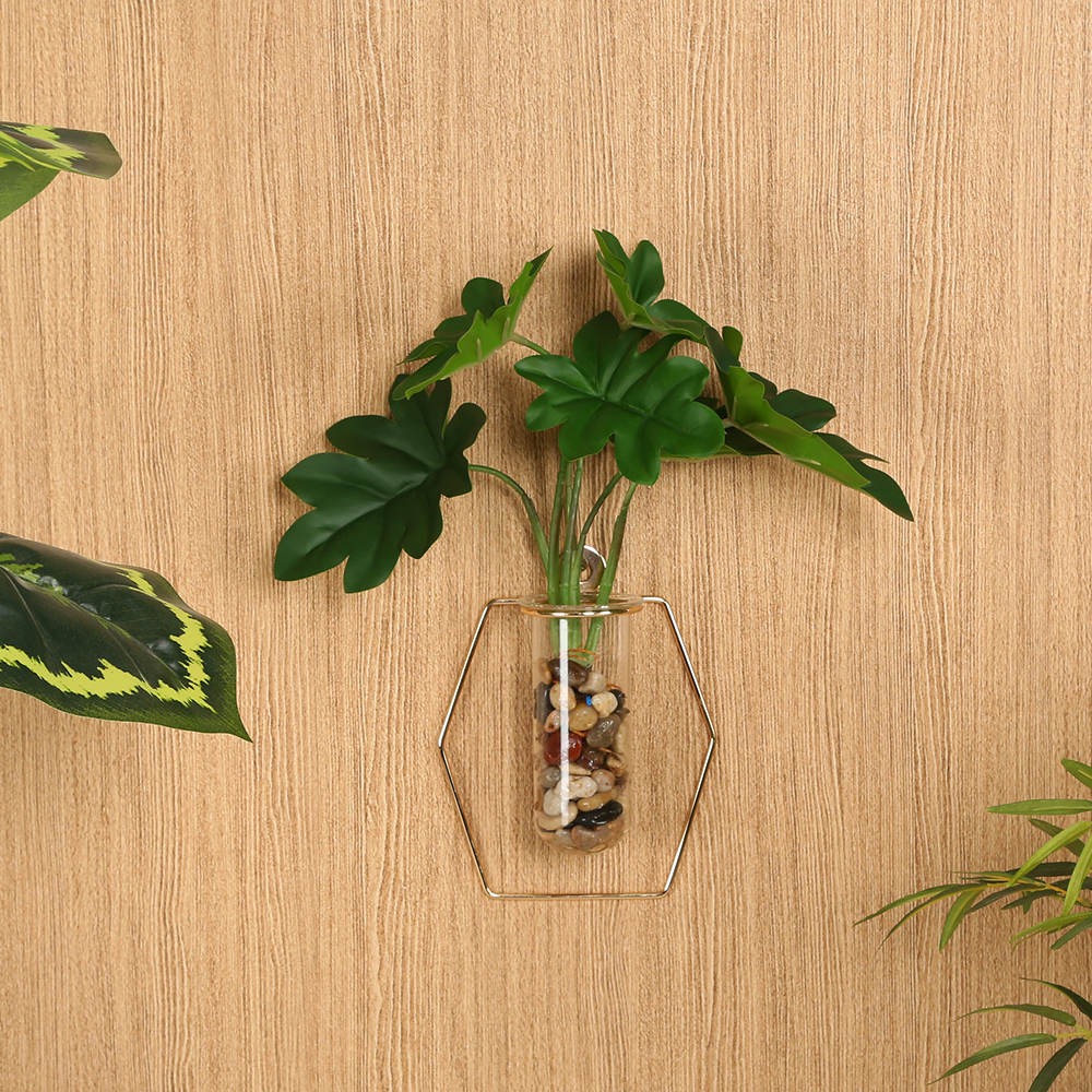 نبات الفيلوديندرون في أنبوب زجاجي بإطار حائط، أخضر