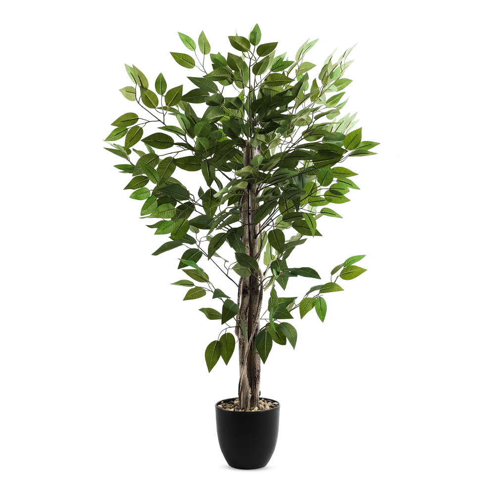 نبتة فيكس بأصيص حجري، أخضر وأسود - 54x112 سم