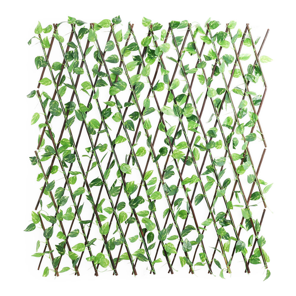 زينة حائط قابلة للتمديد، أخضر - 1 متر